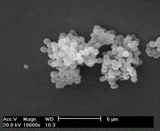 Applications of Microbacterium sp. J-1 in degradation of plurality of phthalic acid esters