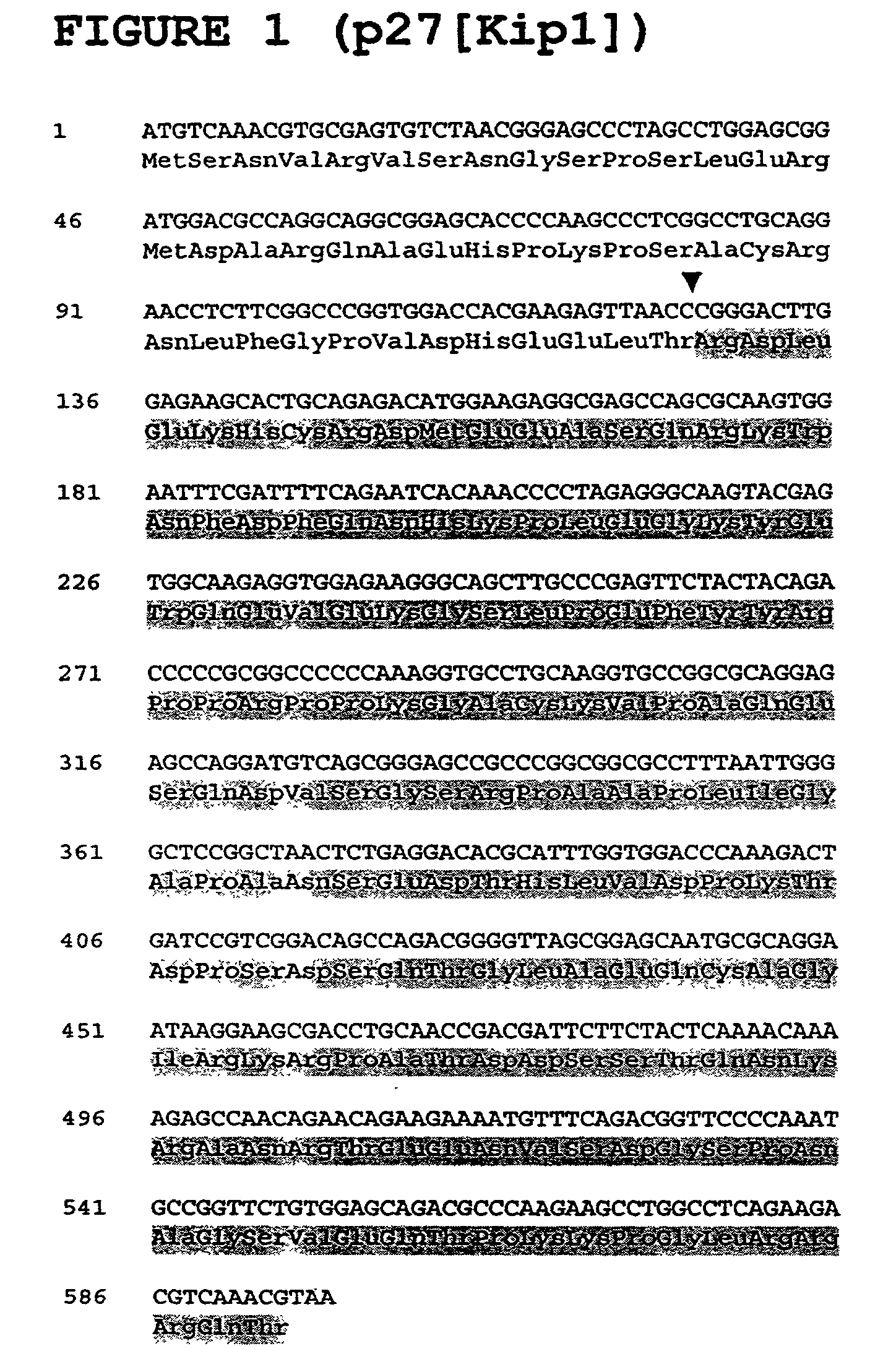 p27 (Kip1) -FKBP-12 protein complexes