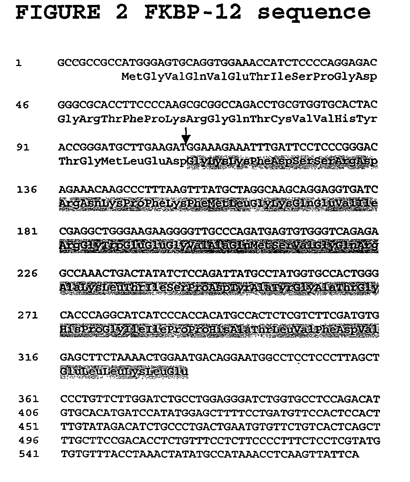 p27 (Kip1) -FKBP-12 protein complexes