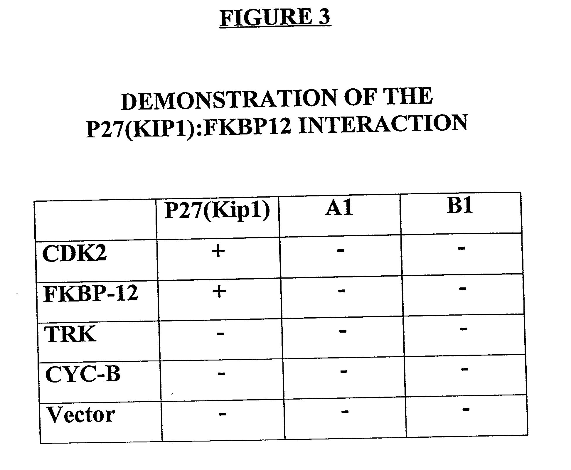 p27 (Kip1) -FKBP-12 protein complexes