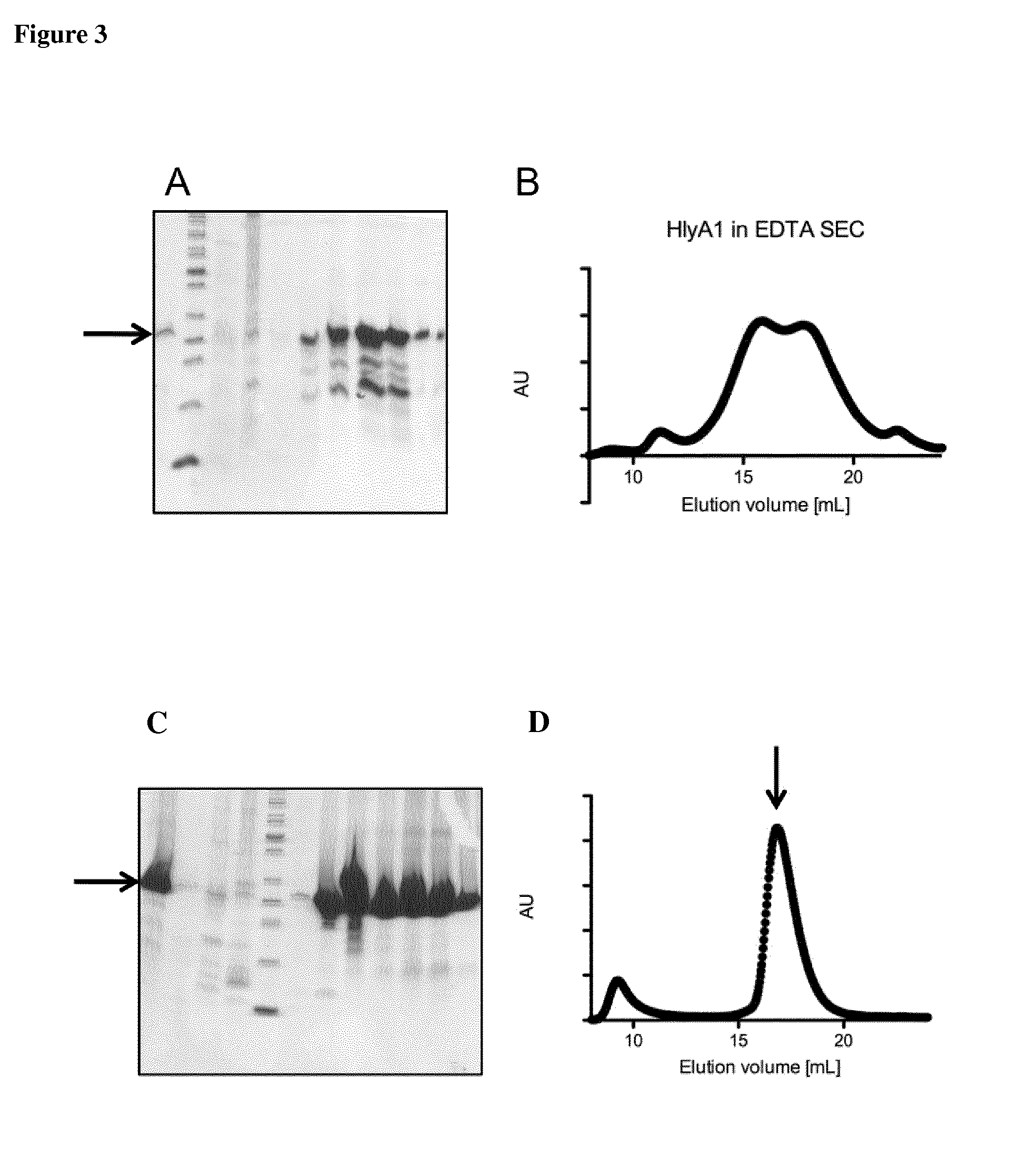 Methods for the expression of peptides and proteins