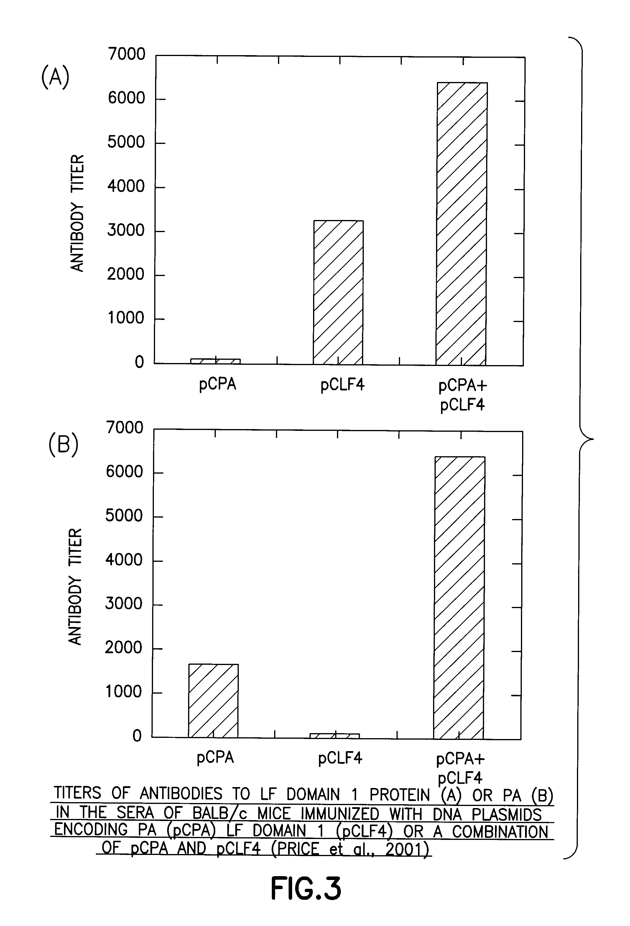 Salmonella based oral vaccines for anthrax