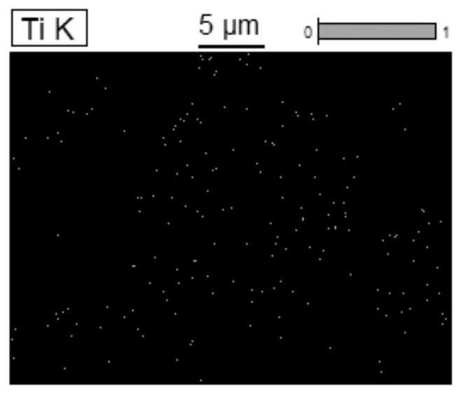 High-nickel positive electrode material with reconstructed primary particle surface layer and preparation method thereof