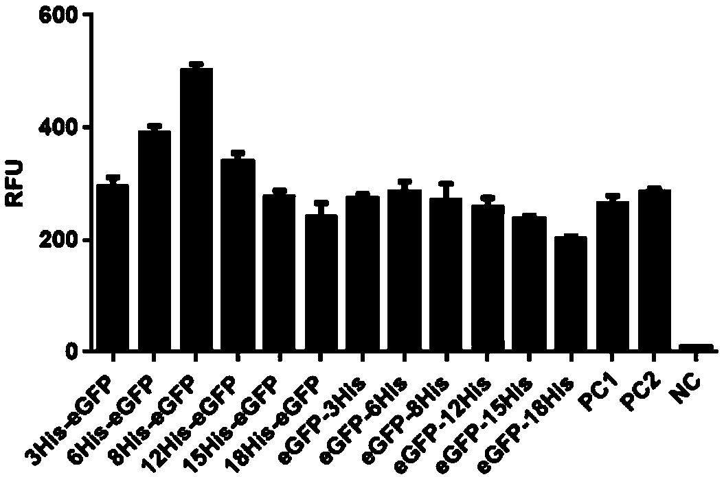 Multiple His sequence tag and application of multiple His sequence tag to protein expression and purification