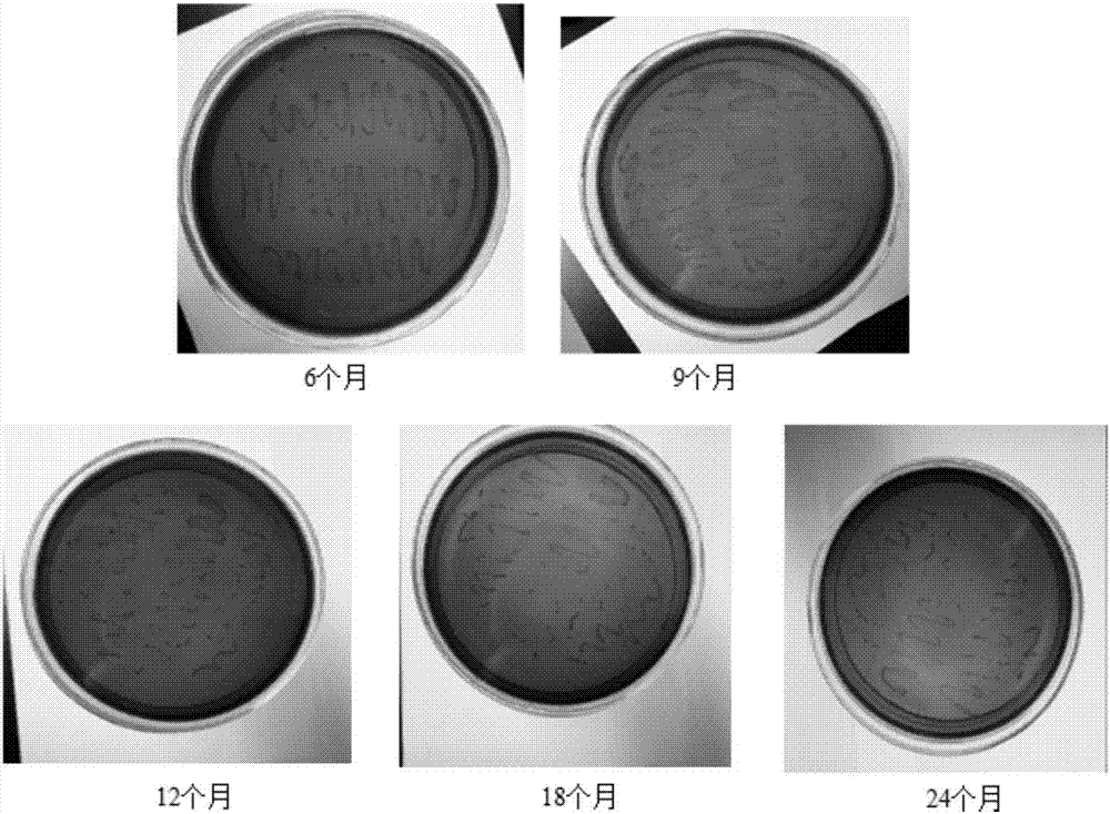 Storage method of transgenic streptococcus suis serotype MRP engineered microorganisms