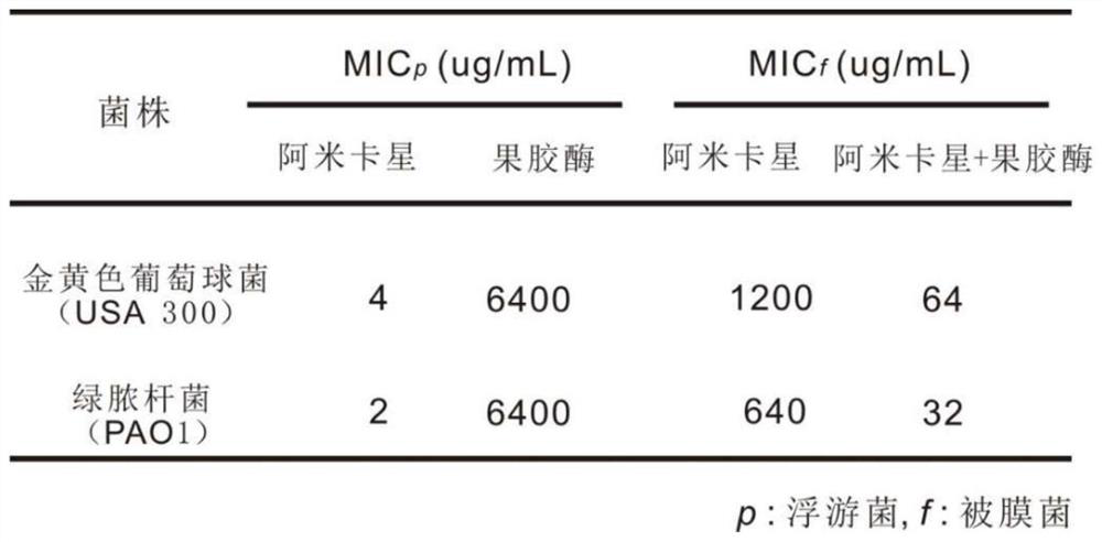 Anti-biofilm antibiotic hydrogel as well as preparation method and application thereof