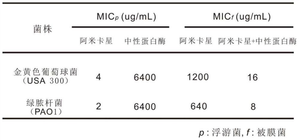 Anti-biofilm antibiotic hydrogel as well as preparation method and application thereof