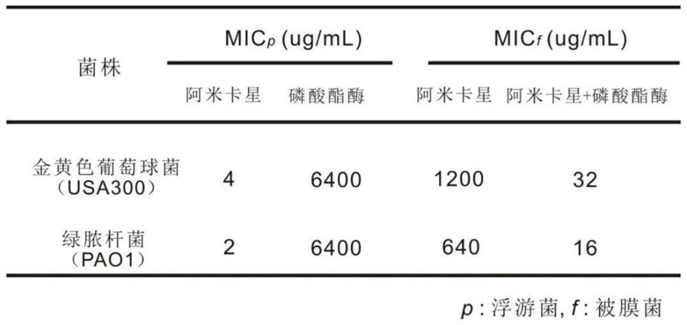 Anti-biofilm antibiotic hydrogel as well as preparation method and application thereof