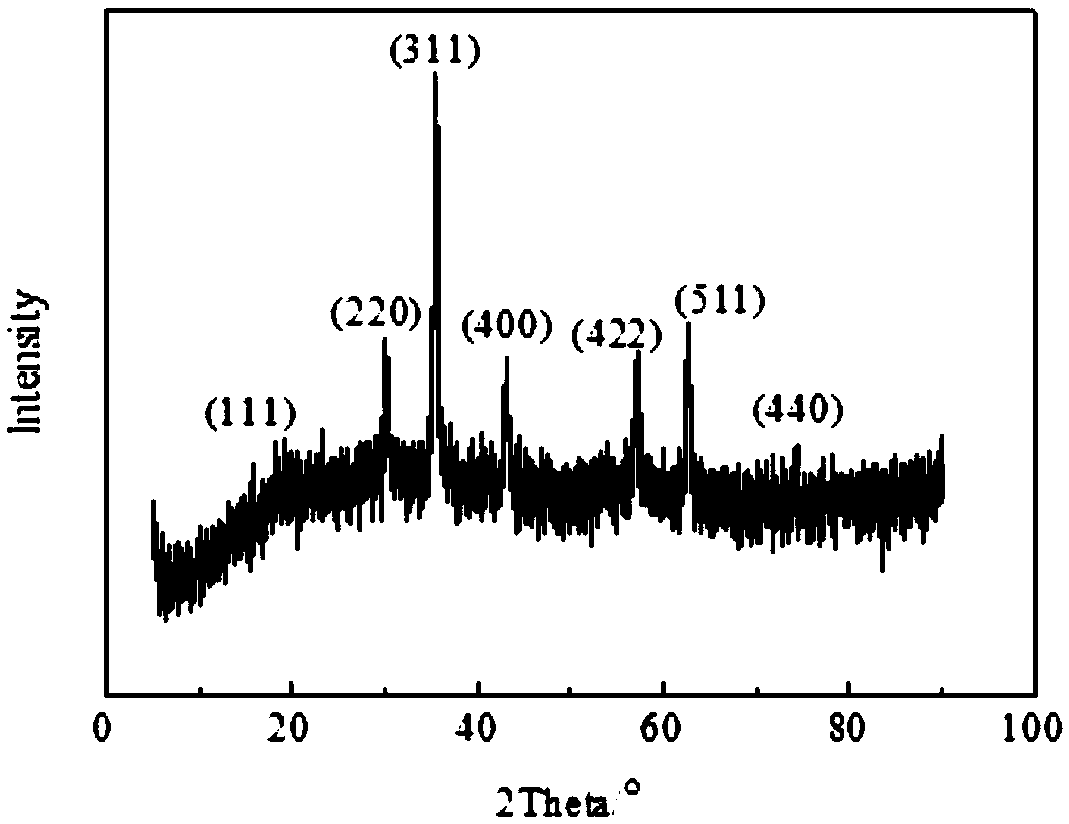 CoFe2O4/nitrogen-doped sludge-based activated carbon catalyst for activating persulfate to perform advanced treatment on coking wastewater and preparation method thereof