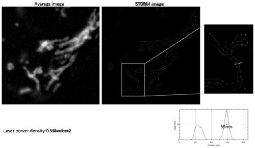 Pentamethine cyanine dye and preparation method thereof