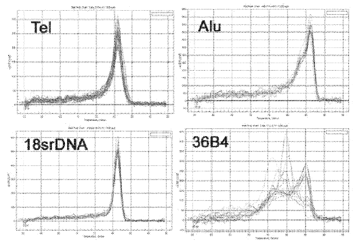 A method for a single cell analysis of telomere length