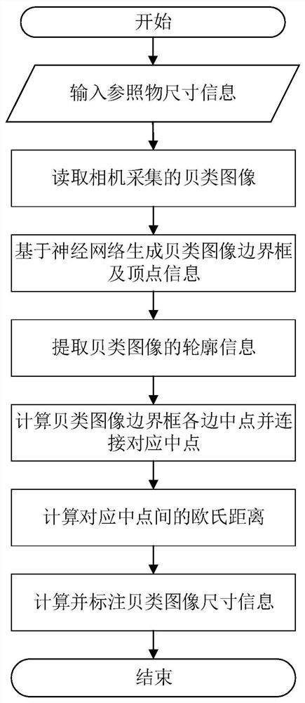 Filter cutting method for convolutional neural network and automatic shellfish classification system