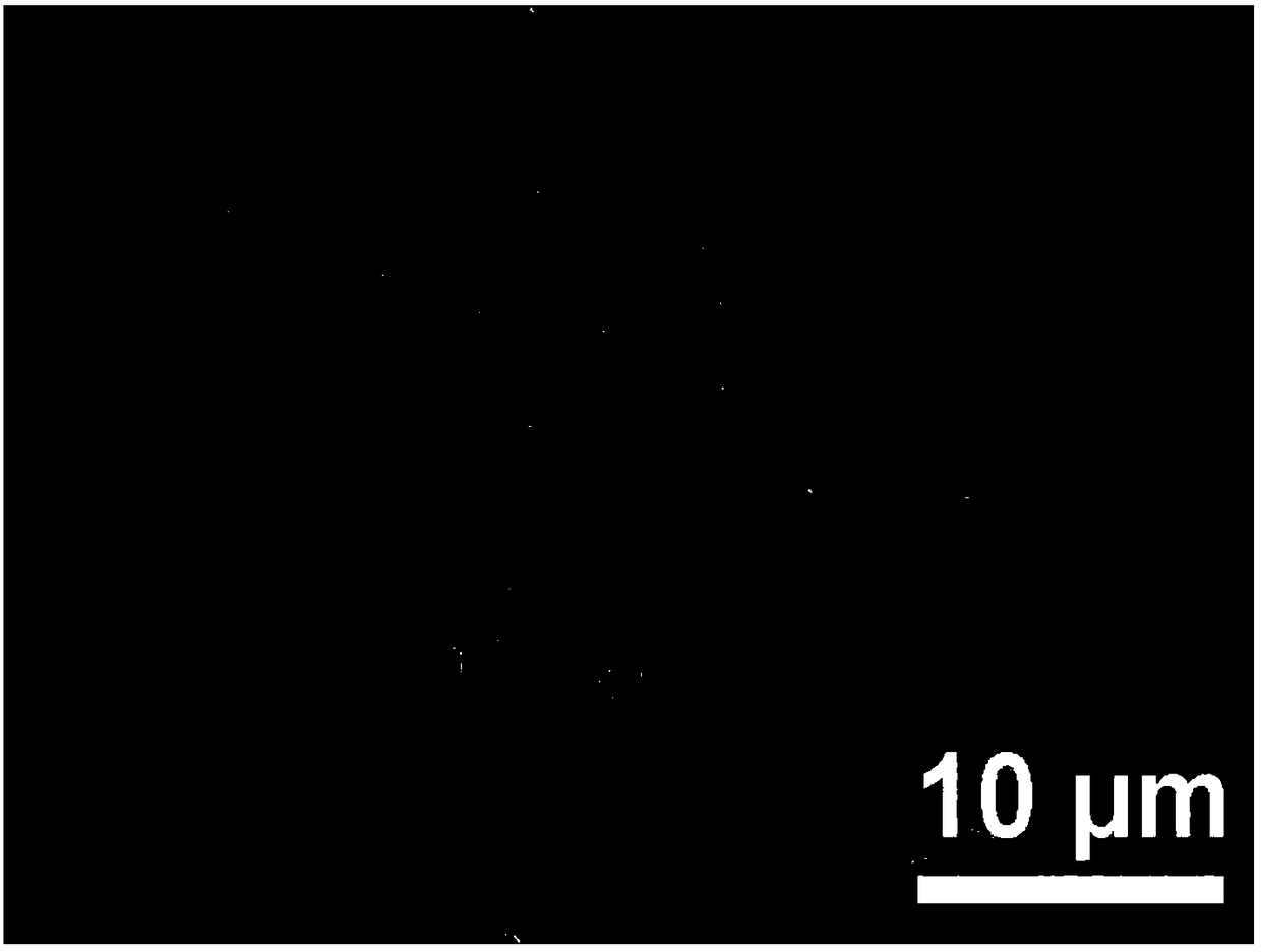 A kind of porous composite electrode and preparation method thereof