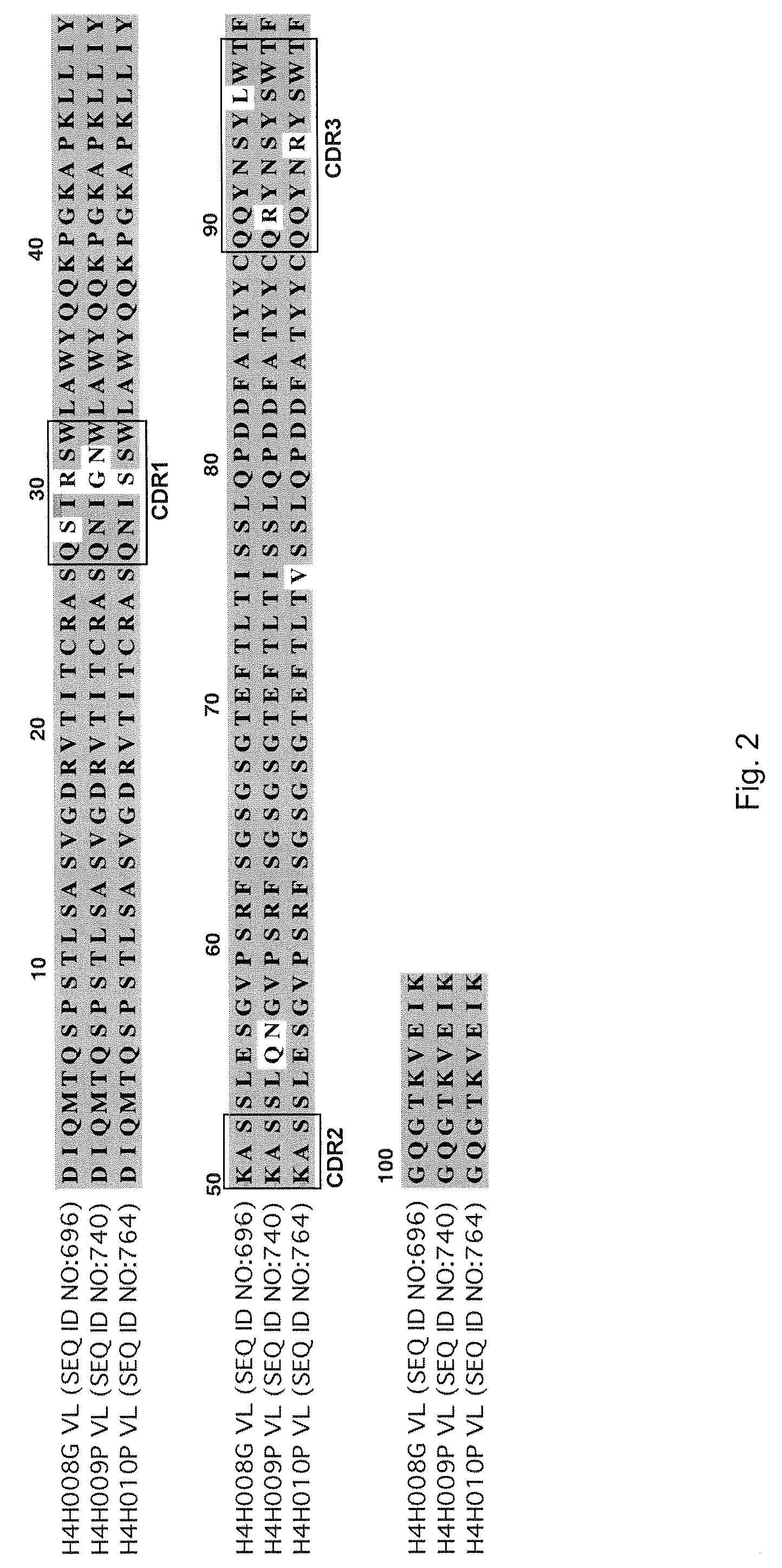 Human antibodies to human RANKL, encoding nucleic acids and methods of treatment