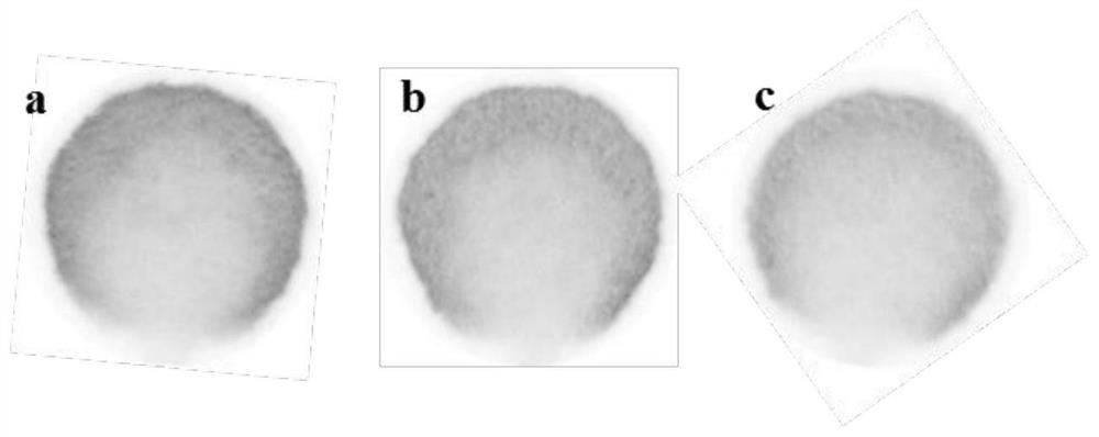 A method for rapid detection of pesticide residues by extracting samples with organic solvents