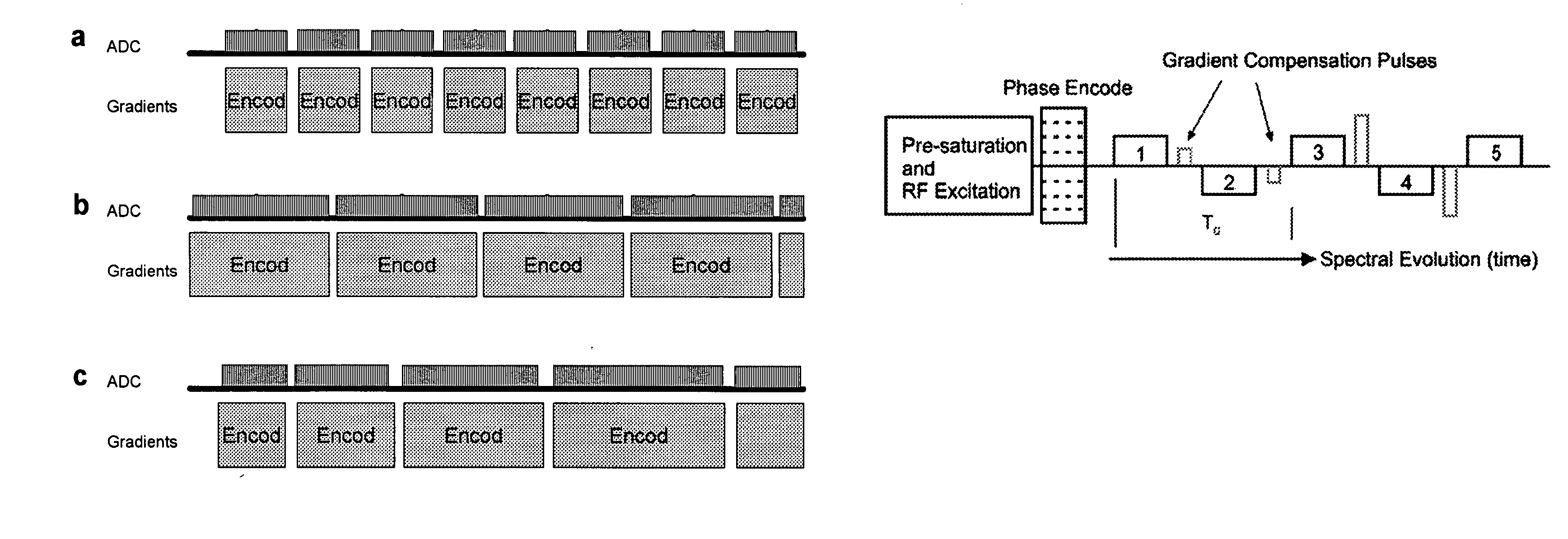 Magnetic resonance spectroscopy with sparse spectral sampling and interleaved dynamic shimming