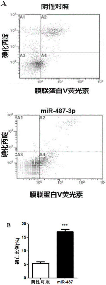 Application of microRNA in preparation of medicaments for treating prostatic cancer