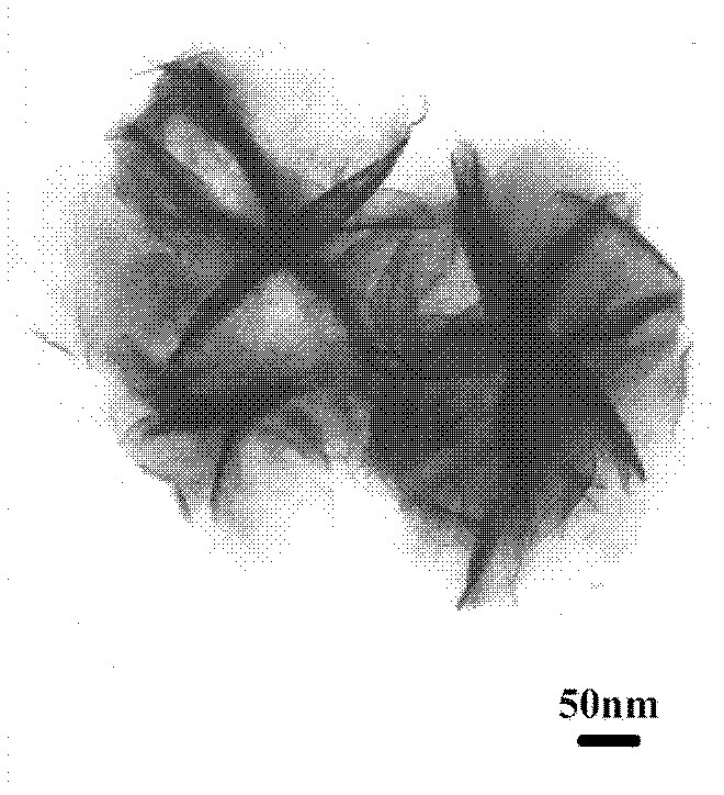 Flower-like nanometer cobalt hydroxide material and preparation method thereof