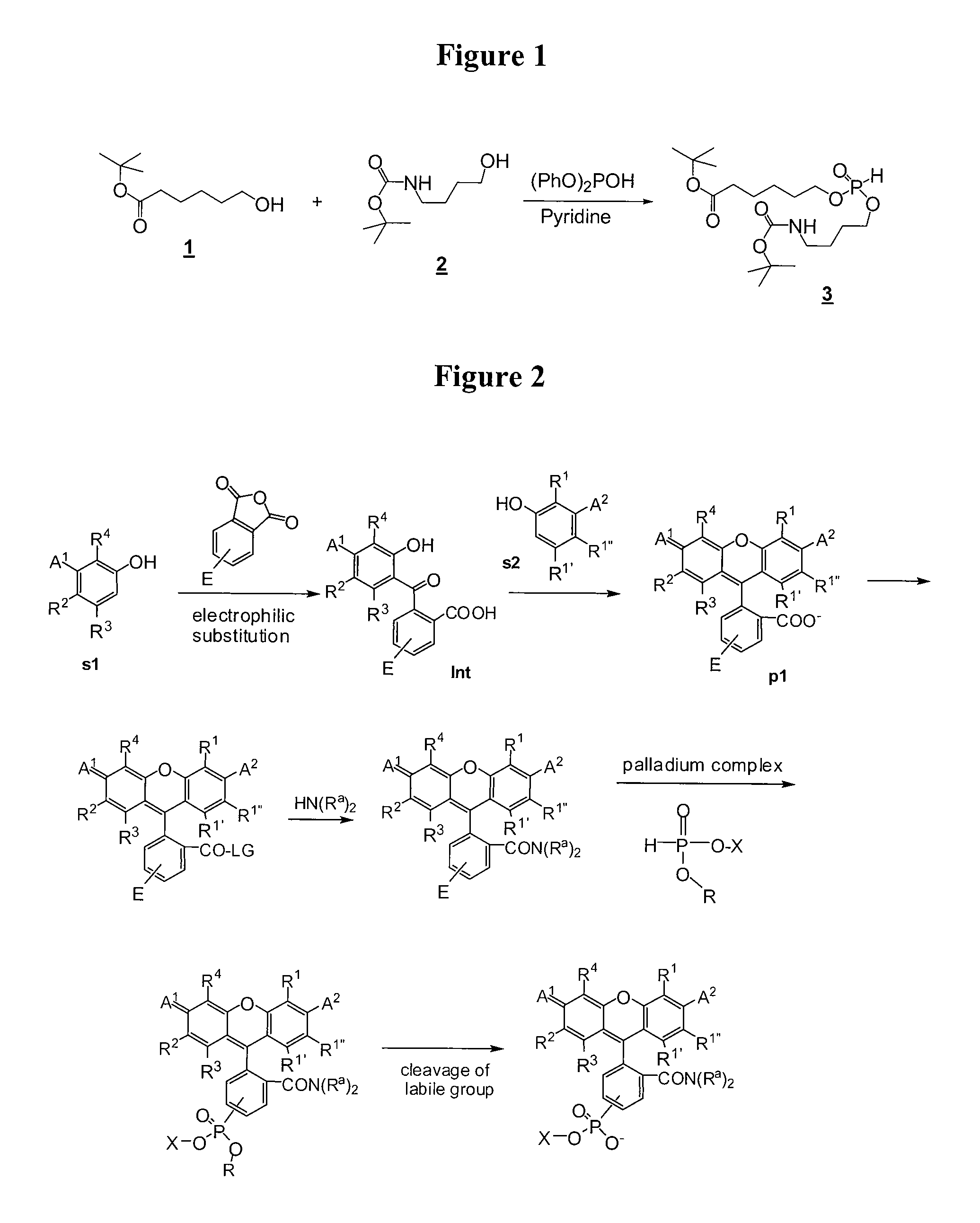 Amide-substituted xanthene dyes