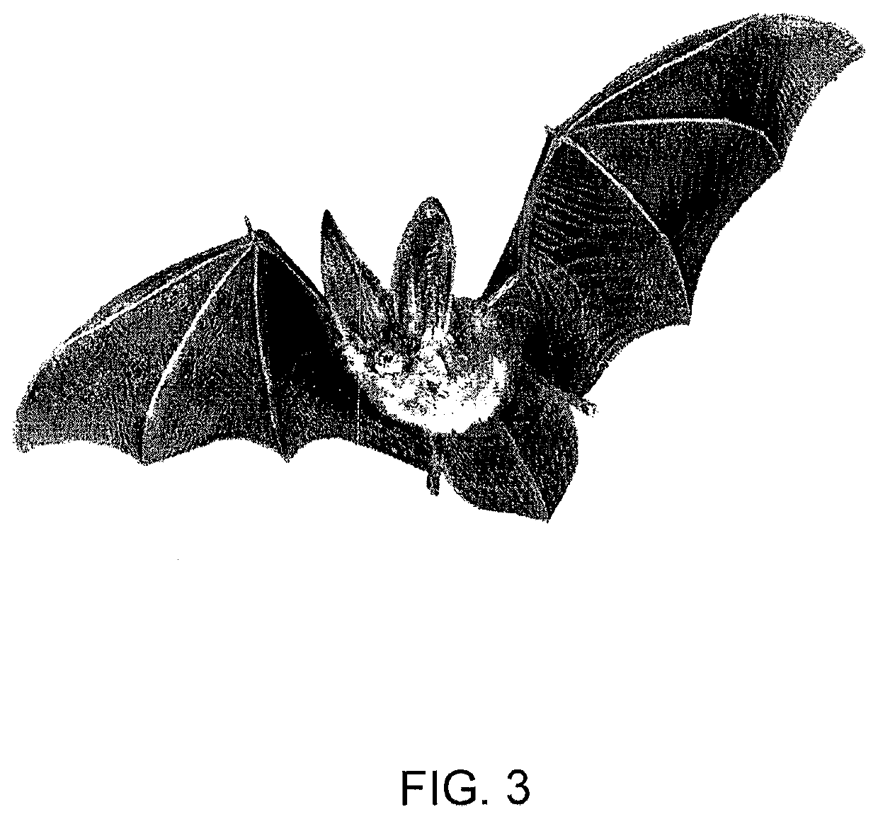 Method and system for protecting honey bees, bats and butterflies from neonicotinoid pesticides