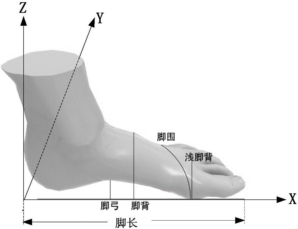 Measurement system, measurement device, foot type measurement method, and foot type measurement system