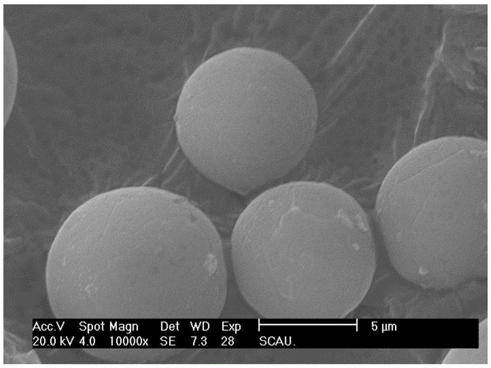 Metformin chitosan microcapsule/starch composite film and preparation method thereof