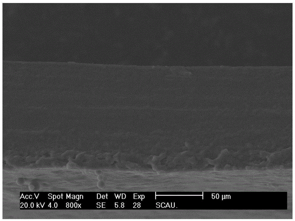 Metformin chitosan microcapsule/starch composite film and preparation method thereof