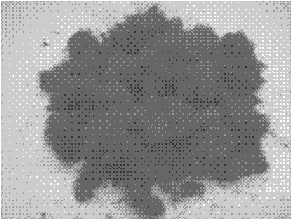 Halogen-free, flame-retardant and ablation-resistant fiber material, and preparation method and application thereof