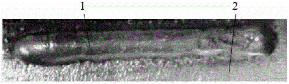 A kind of manufacturing method of tuyere reinforced functionally graded material