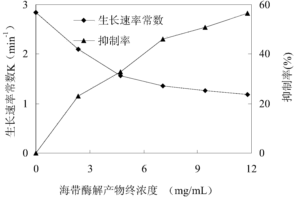 Kelp-flavored food ingredient and preparation method thereof