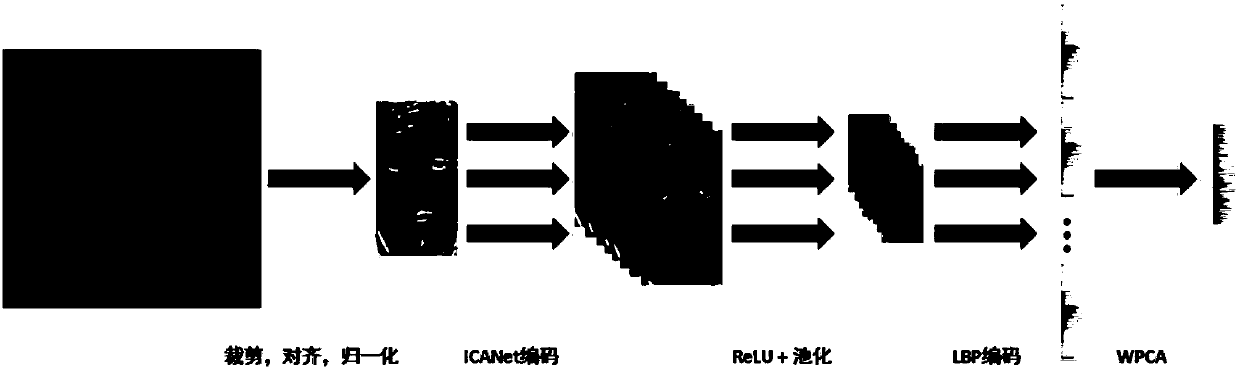 Face identification method based on independent component analysis network