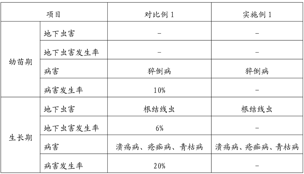 Non-toxic, bud-rich tomato tree cultivation method for grafting scions