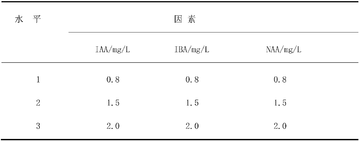 A kind of white cherry tissue culture and rapid propagation method