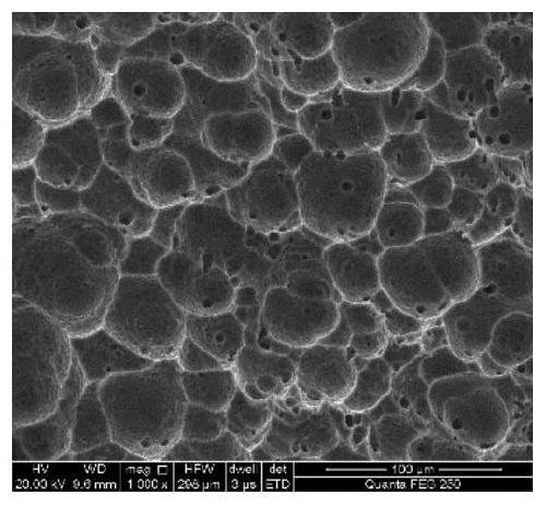 Boron-doped diamond electrode with ultrahigh specific surface area as well as preparation method and application of boron-doped diamond electrode