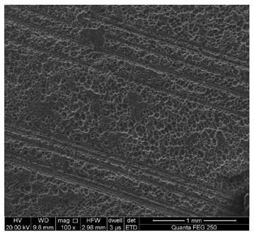 Boron-doped diamond electrode with ultrahigh specific surface area as well as preparation method and application of boron-doped diamond electrode