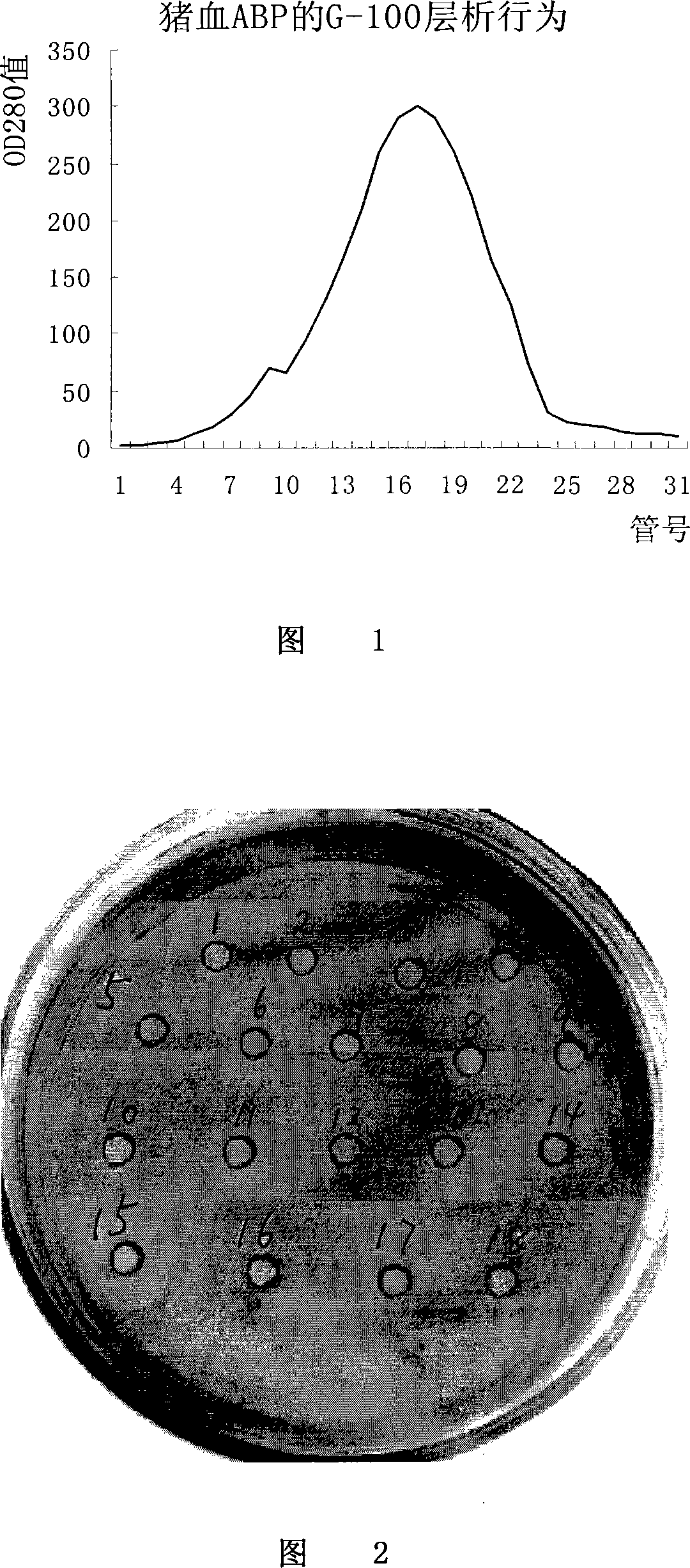 Method for extracting pig blood antibiotic peptide