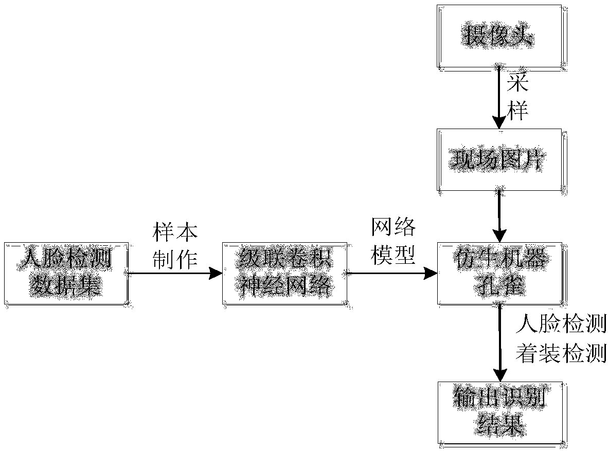 Bionic robot peacock image identification method based on deep learning