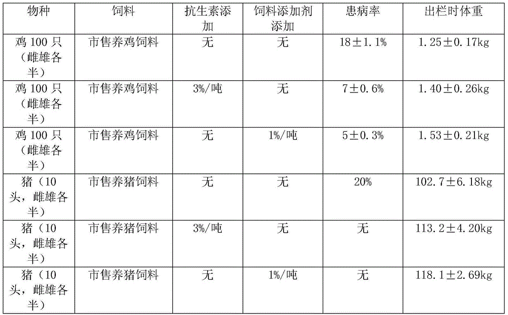 Feed additive for livestock and poultry