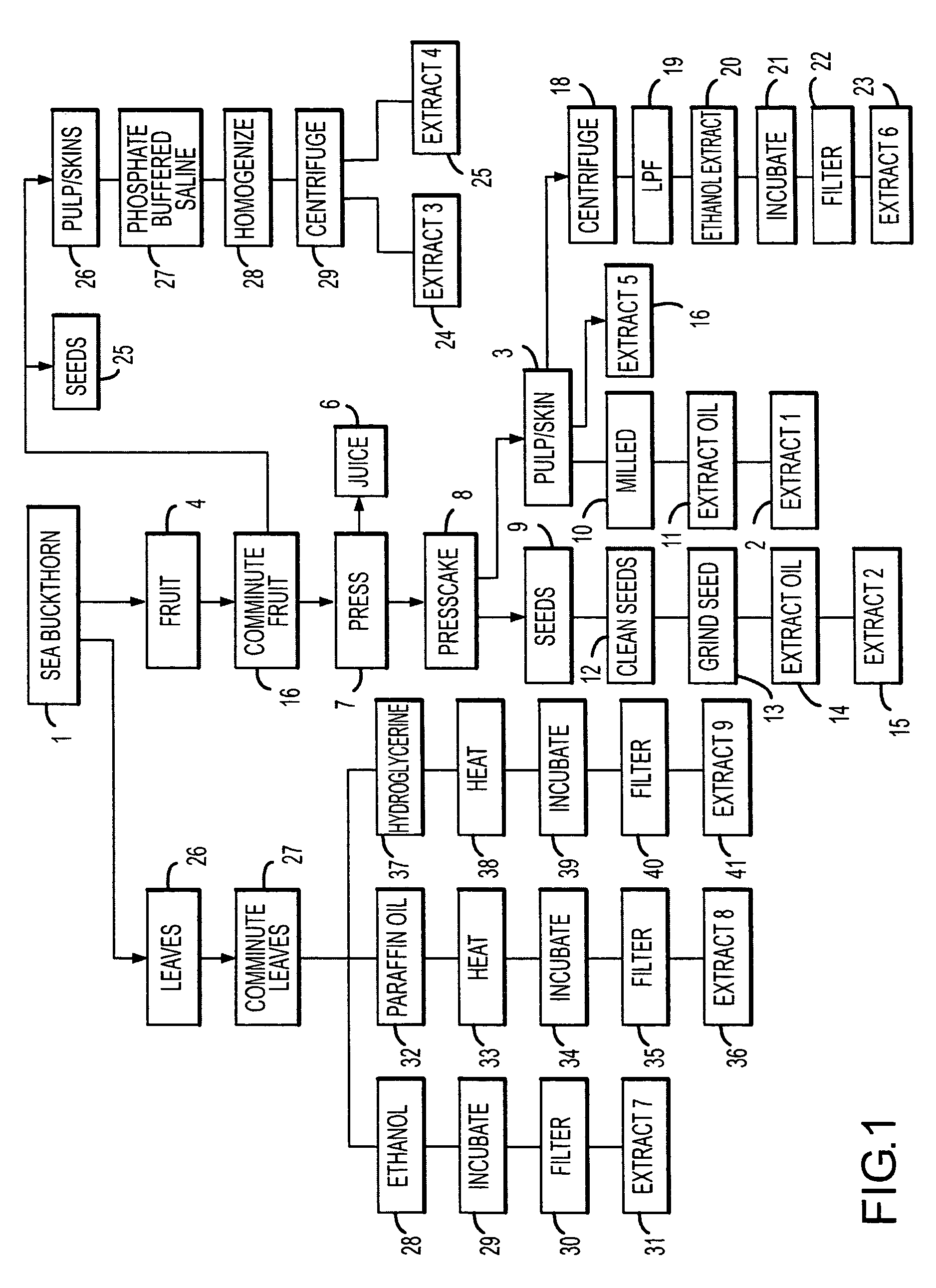 Reproductive cell system