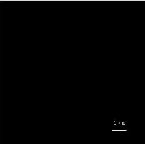 Preparation method of aqueous single-layer graphene solution