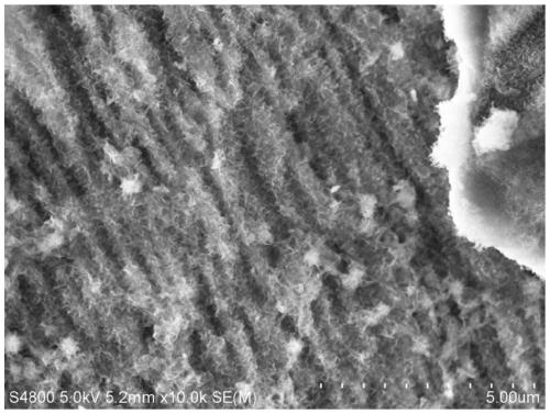 A kind of stepped pore macroporous-mesoporous alumina carrier and its preparation method