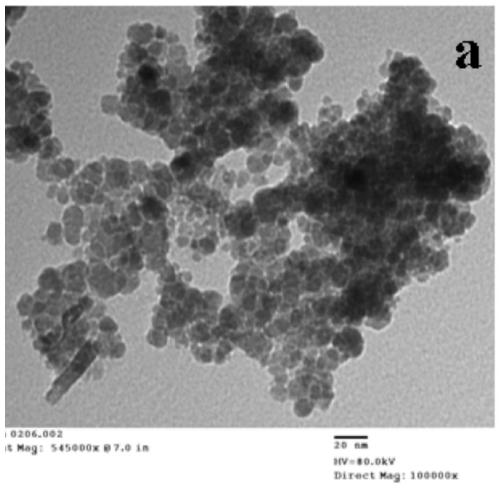 Magnetic iron oxide and elemental selenium nano composite particles and preparation method and application thereof