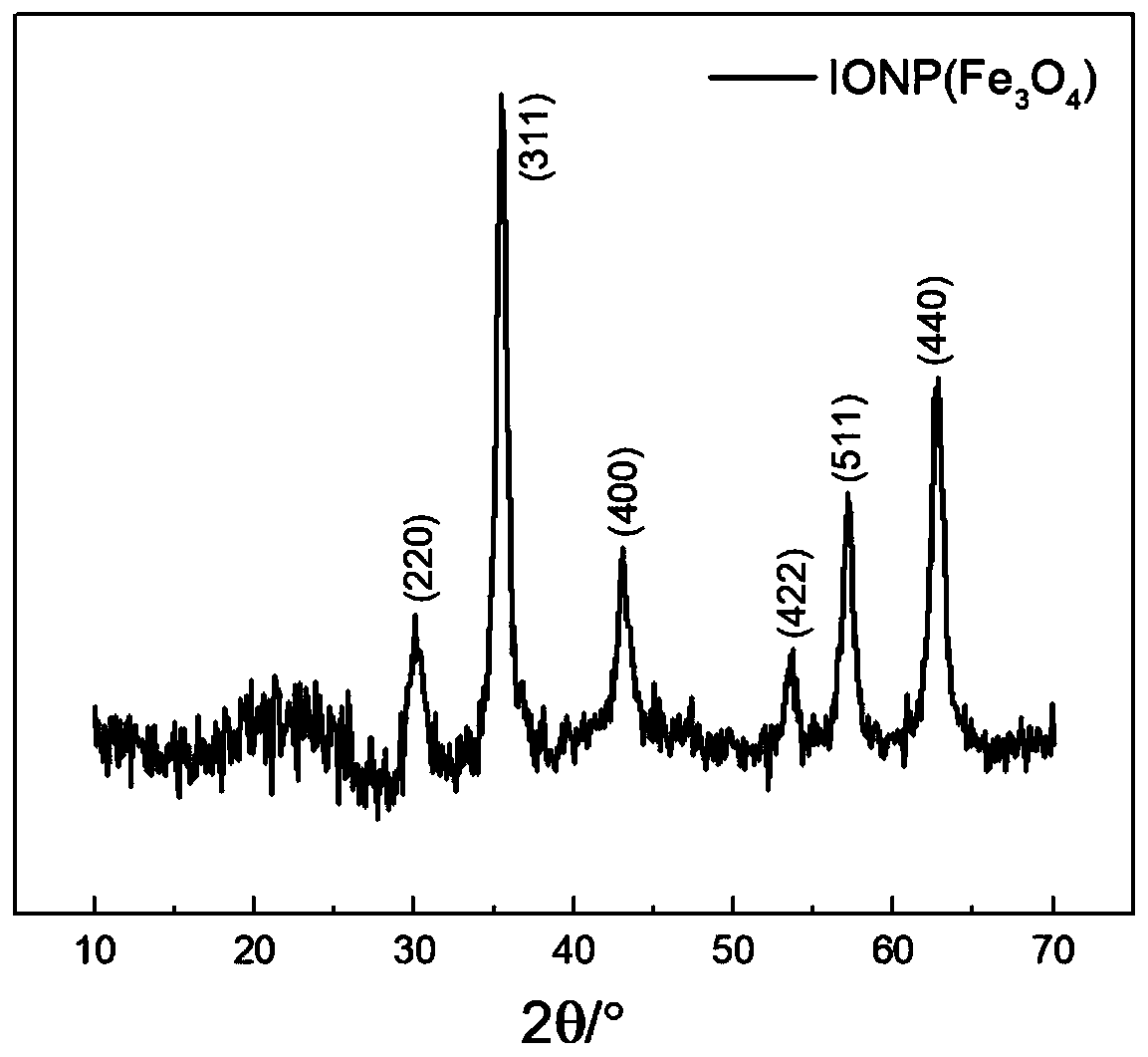 Magnetic iron oxide and elemental selenium nano composite particles and preparation method and application thereof