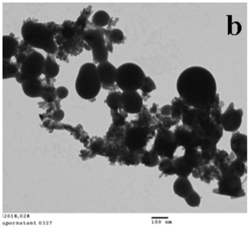 Magnetic iron oxide and elemental selenium nano composite particles and preparation method and application thereof