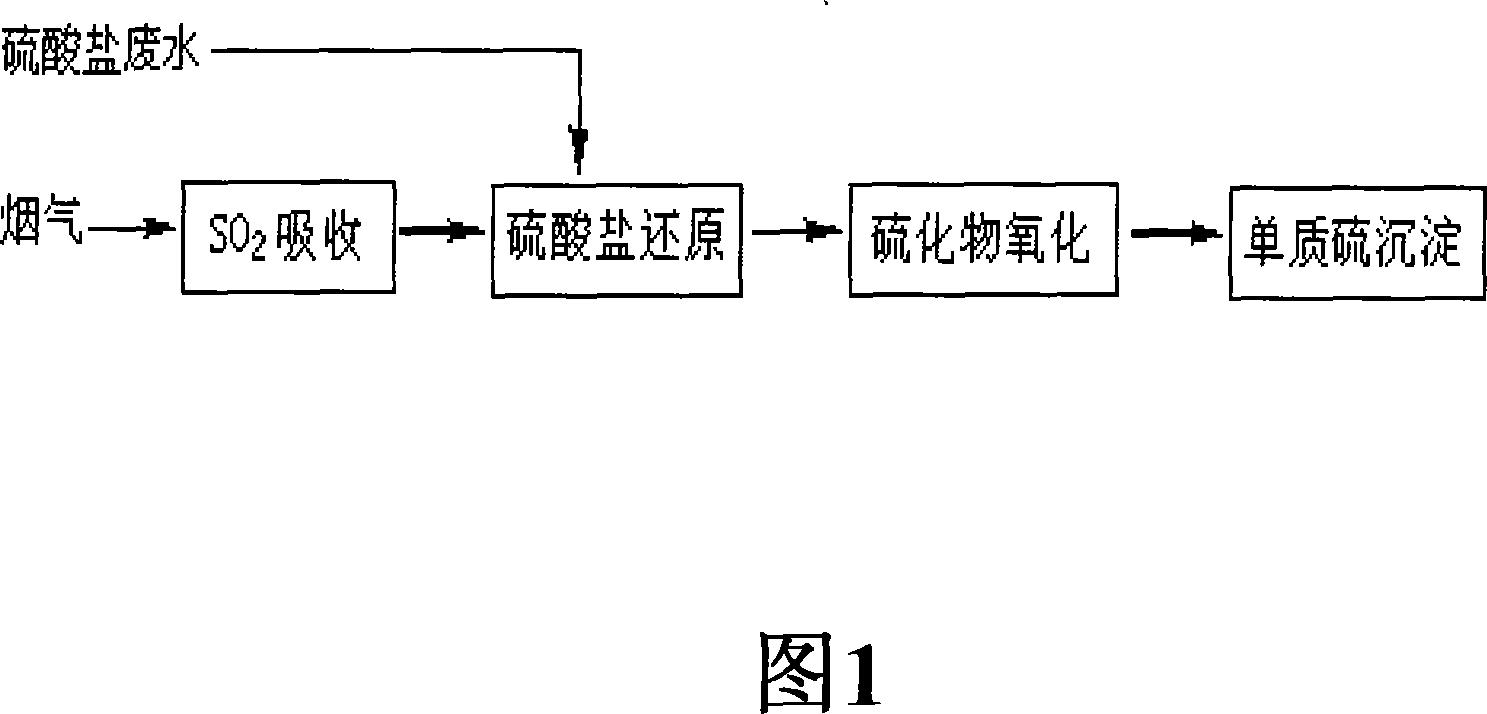 Biological desulfurizing technology for transferring sulfur-containing compound into elemental sulfur