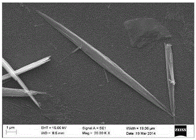 A kind of preparation method of tobernetite whiskers