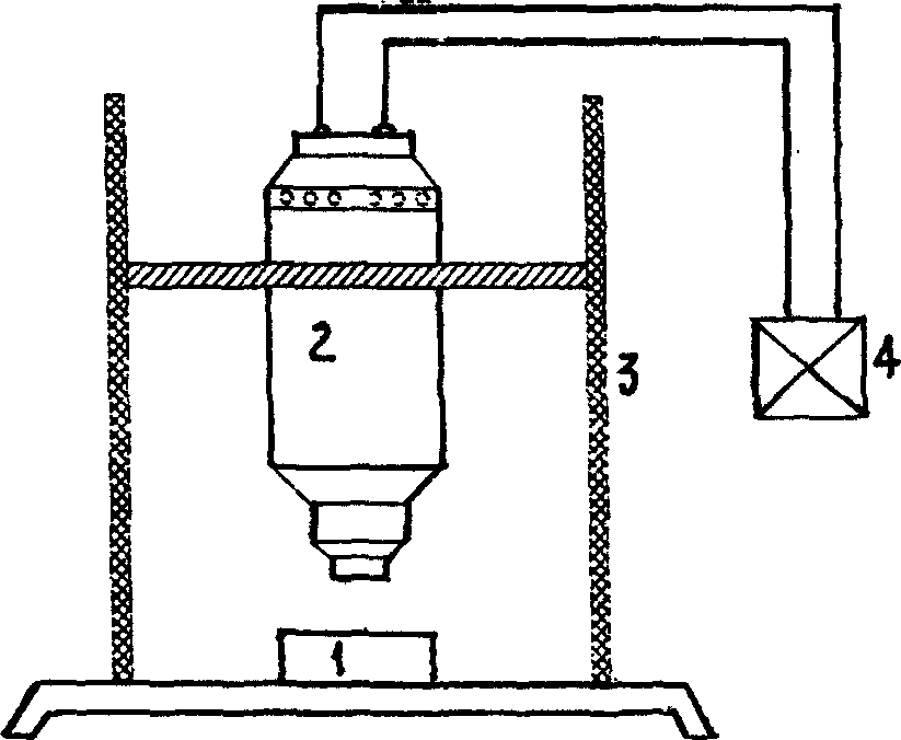 Method for extracting functional ingredient of bee glue by ultrasonic wave process