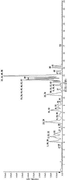 Method for simultaneously measuring various drug residues in honey by utilizing liquid chromatogram tandem mass spectrum isotope dilution method