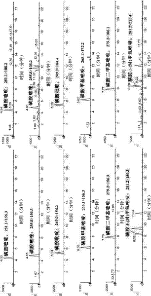 Method for simultaneously measuring various drug residues in honey by utilizing liquid chromatogram tandem mass spectrum isotope dilution method