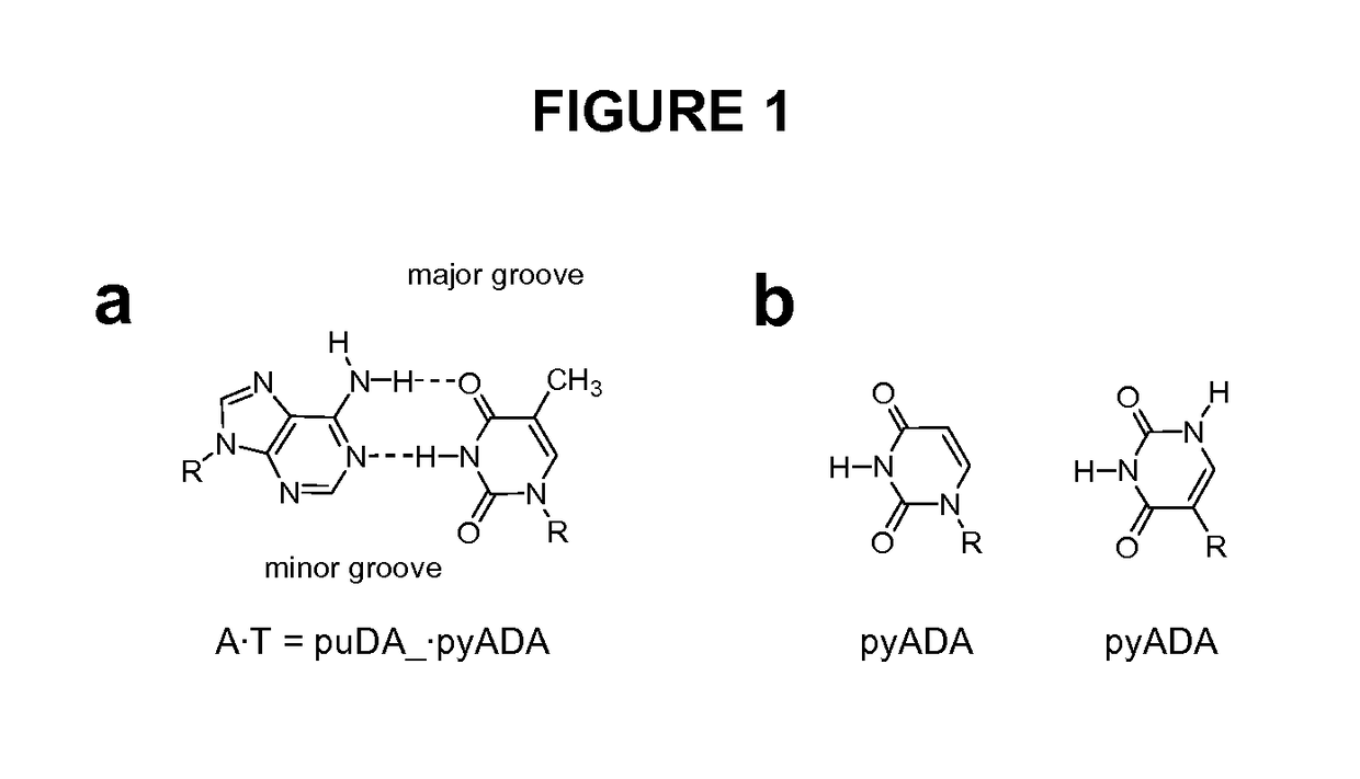 Degenerate nucleobase analogs